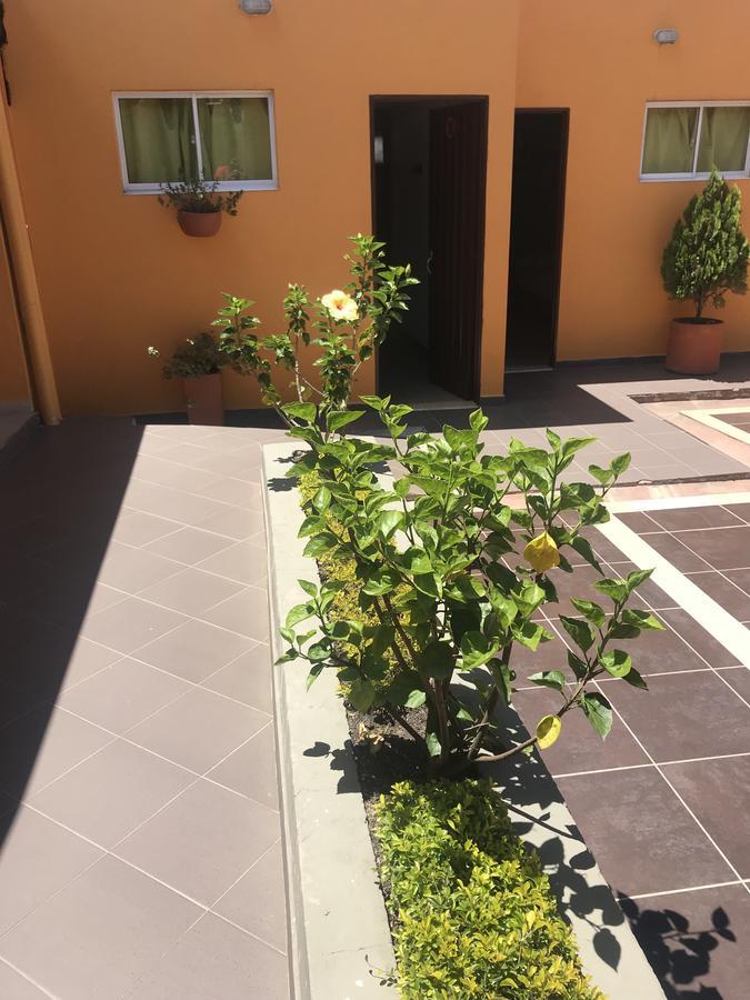 Hostal El Hangar Ριονέγρο Εξωτερικό φωτογραφία